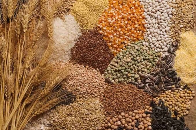 Agriculture Products & Equipment